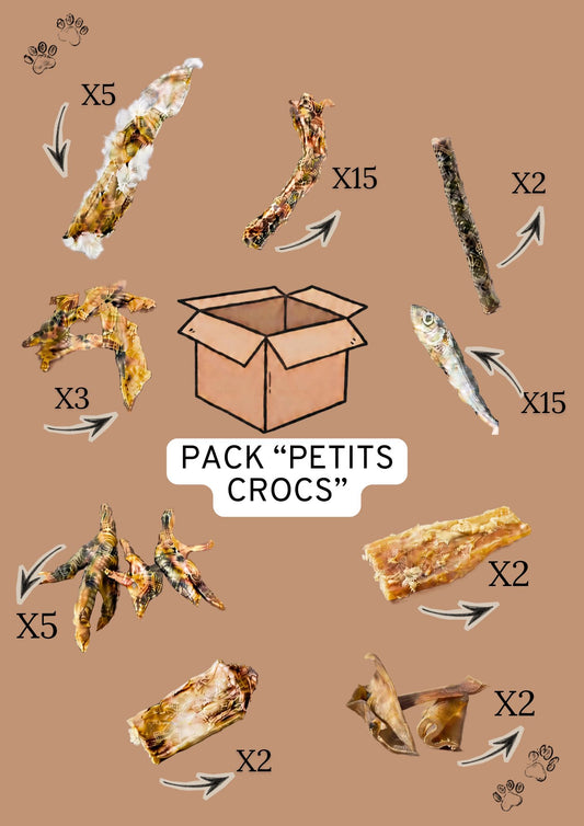 Pack "PETITS CROCS'' Chiots - Petits Chiens