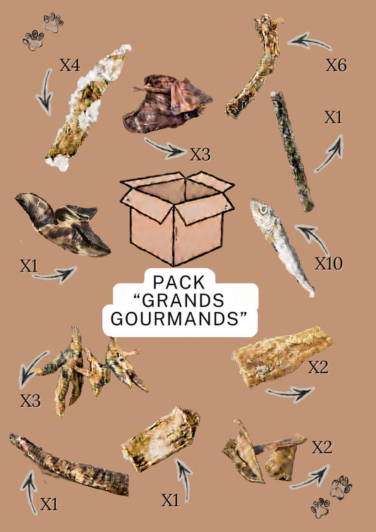 Pack ''GRANDS GOURMANDS" Chiens adultes