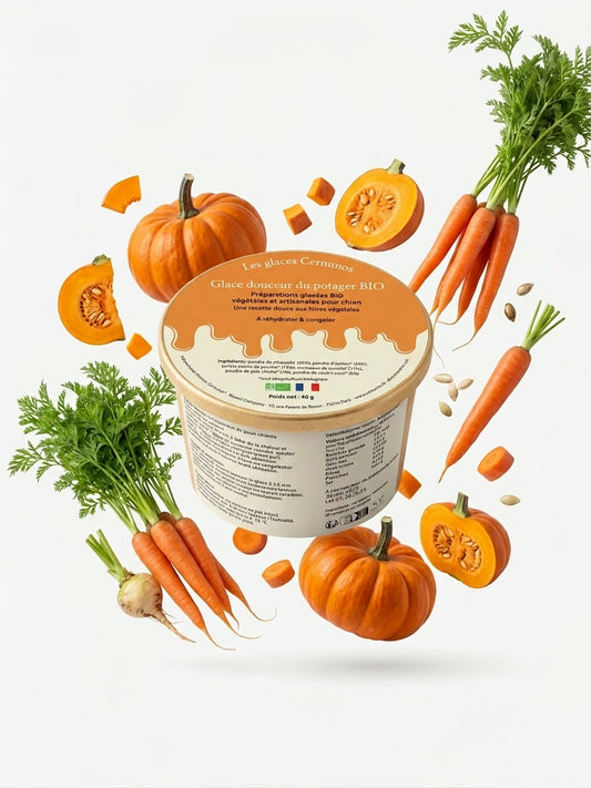 Glace - Douceur du potager