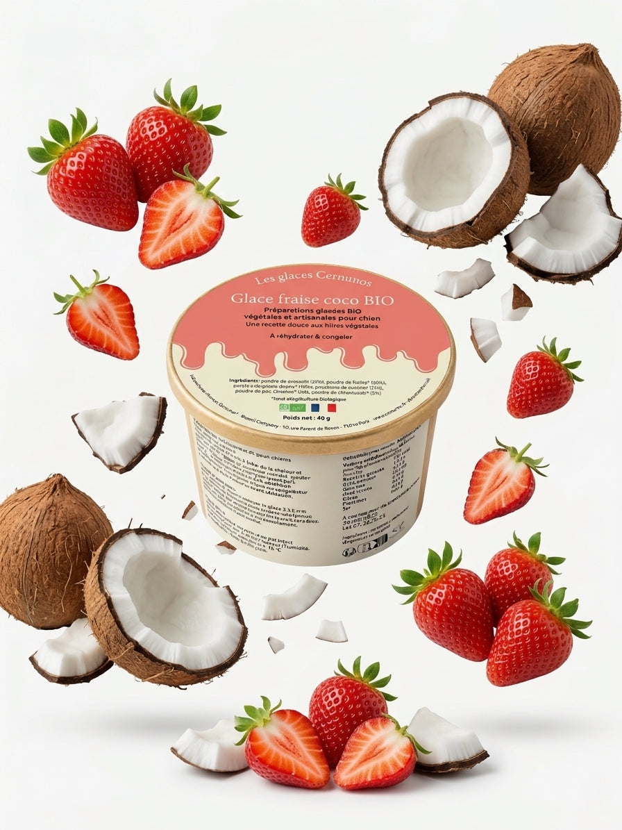Glace - Fraise Coco BIO