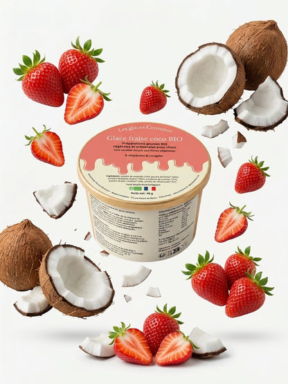 Glace - Fraise Coco BIO