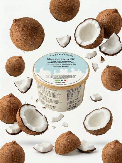 Glace - Noix de Coco