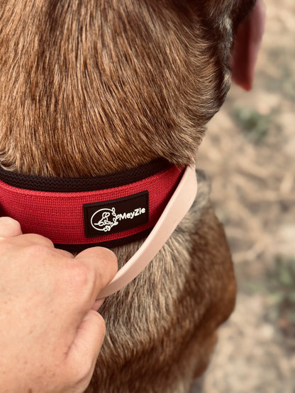 Collier confort, doux et robuste pour chiens