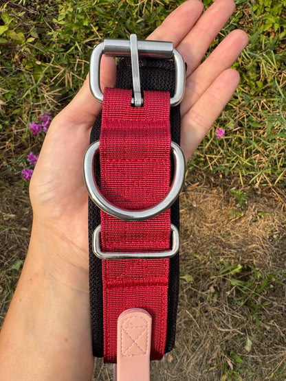 Collier confort, doux et robuste pour chiens