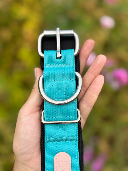 Collier confort, doux et robuste pour chiens