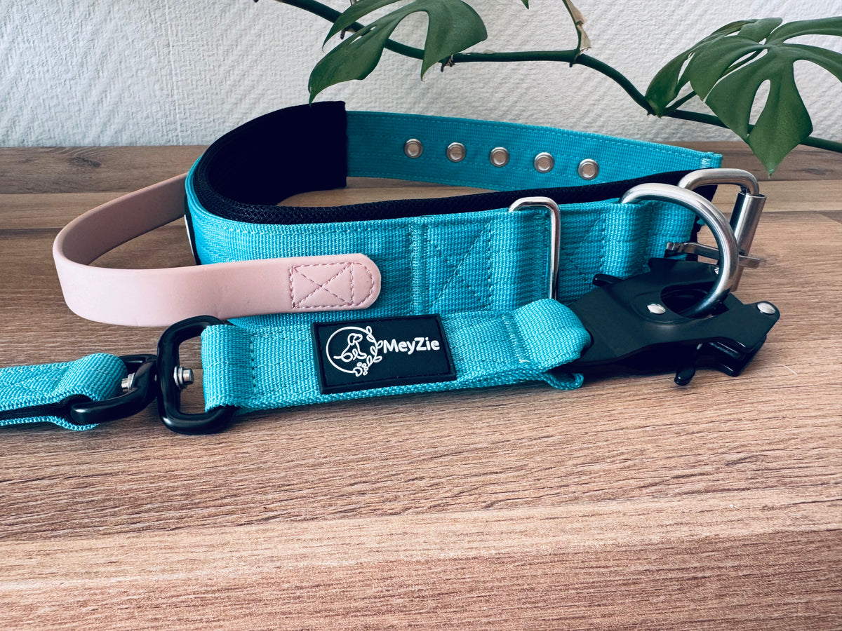 Collier confort, doux et robuste pour chiens