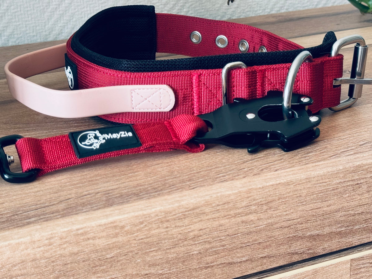 Collier confort, doux et robuste pour chiens