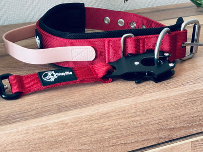 Collier confort, doux et robuste pour chiens