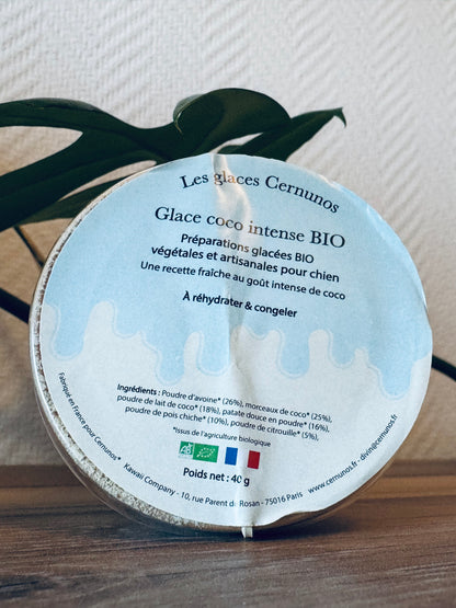 Glace - Noix de Coco