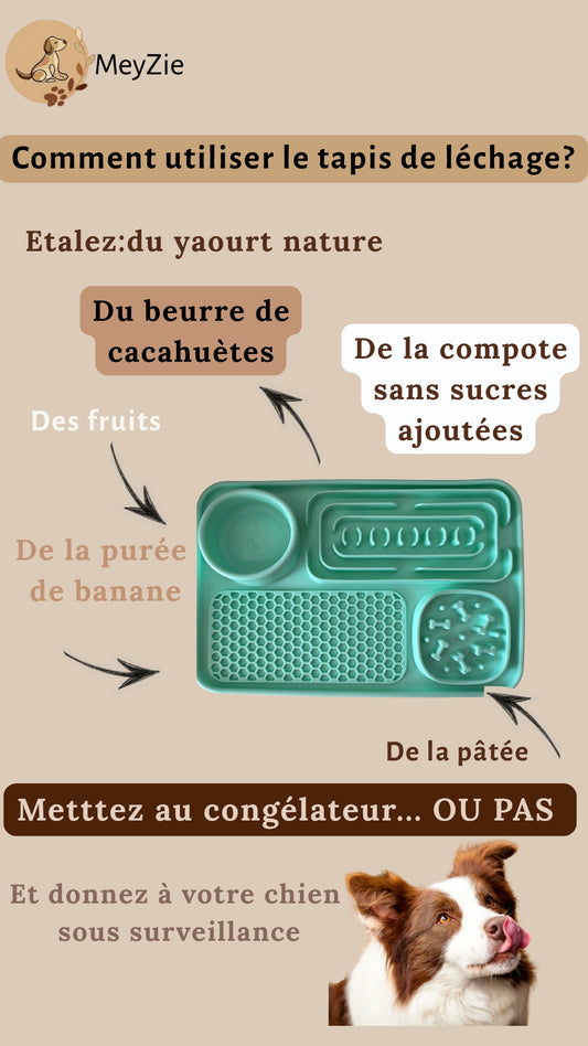 Tapis de léchage pour chiens ( 🎁Ebook de recettes offert )