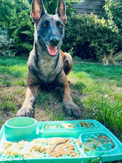 Tapis de léchage pour chiens ( 🎁Ebook de recettes offert )